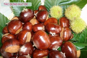 Tác dụng của hạt dẻ