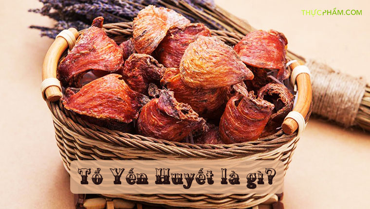 to-yen-huyet-la-gi