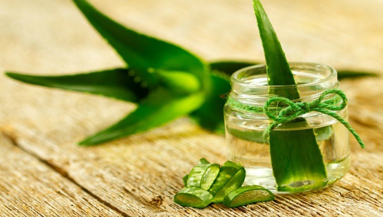 công dụng của nha đam