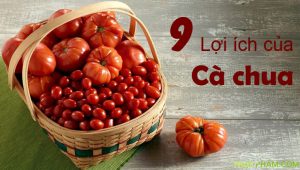 loi ich cua ca chua