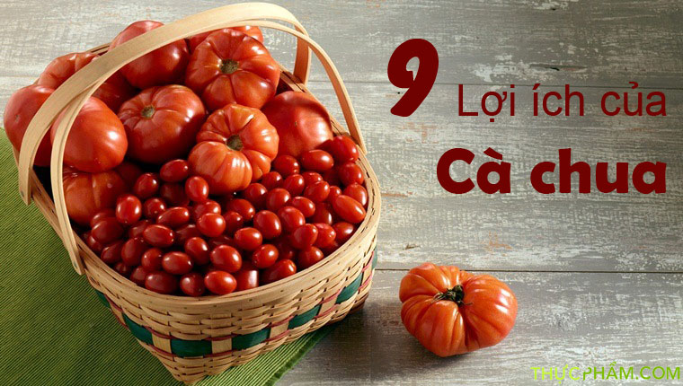 loi ich cua ca chua