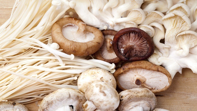 Các loại nấm chữa bệnh
