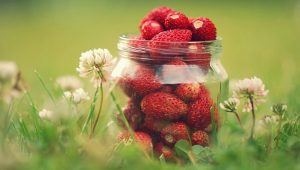 Công dụng của dâu tây