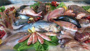 Lợi ích của cá
