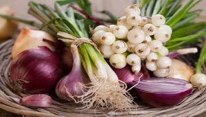 Lợi ích của hành tây
