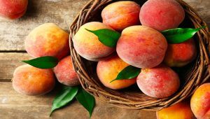Tác dụng của quả đào