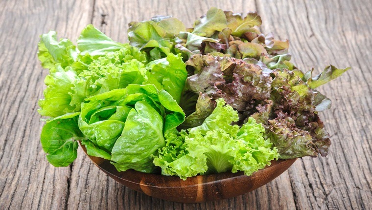 Lợi ích của rau xà lách