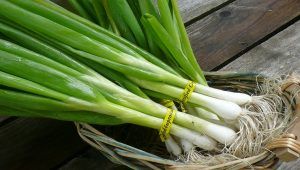 Tác dụng của hành hoa