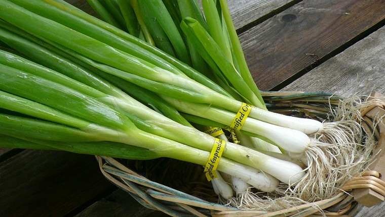Tác dụng của hành hoa