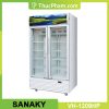 tu mat 2 canh kinh sanaky VH 1209HP