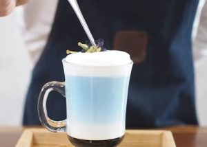 latte hoa đậu biếc