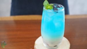Yakult Việt Quất