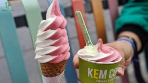 bột làm kem tươi thucpham.com chất lượng