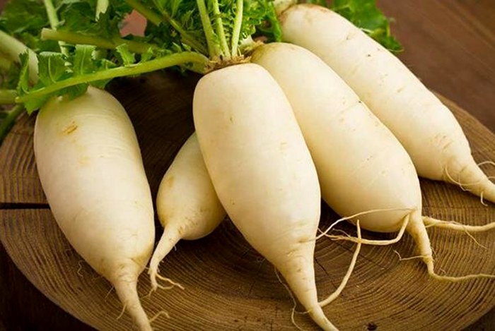 củ cải trắng là thực phẩm trị ho hiệu quả