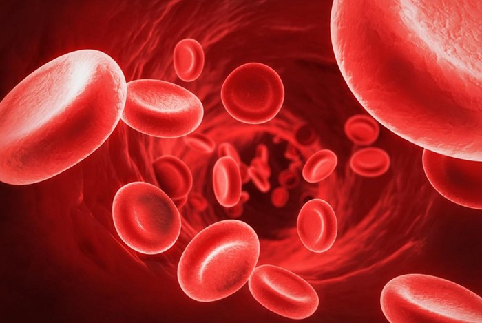 thiếu hồng cầu sẽ dẫn đến thiếu máu