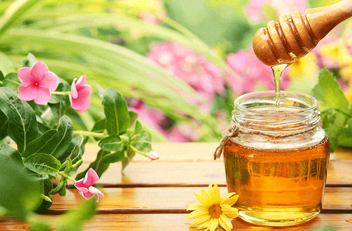 mật ong giúp giảm cân hiệu quả