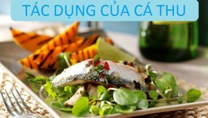 Tác dụng của cá thu