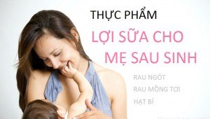 Thực phẩm lợi sữa