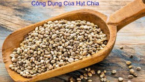 Công dụng của hạt chia