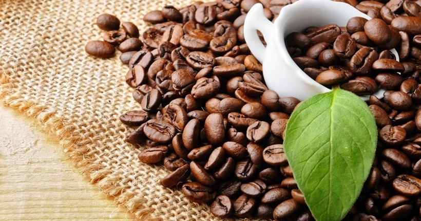 Hạt cà phê hạn chế hấp thụ chất béo