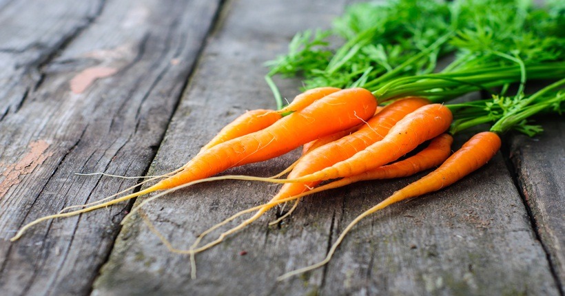 Cà rốt – thực phẩm chống ung thư máu cần bổ sung