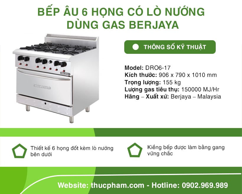 bep-au-6-hong-co-lo-nuong-DR06-17