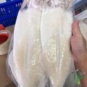 Mực Một Nắng Nghệ An