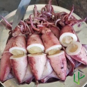 Mực Trứng Vân Đồn