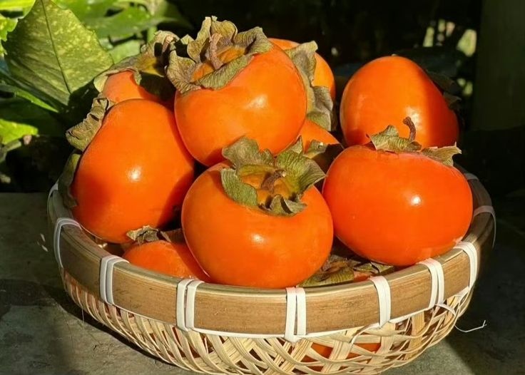 Mùa Thu Hà Nội Có Những Món Ăn Đặc Trưng Nào? 6 Rổ tre đan đựng đầy những quả hồng chín đỏ cam căng mọng dưới ánh nắng mùa thu
